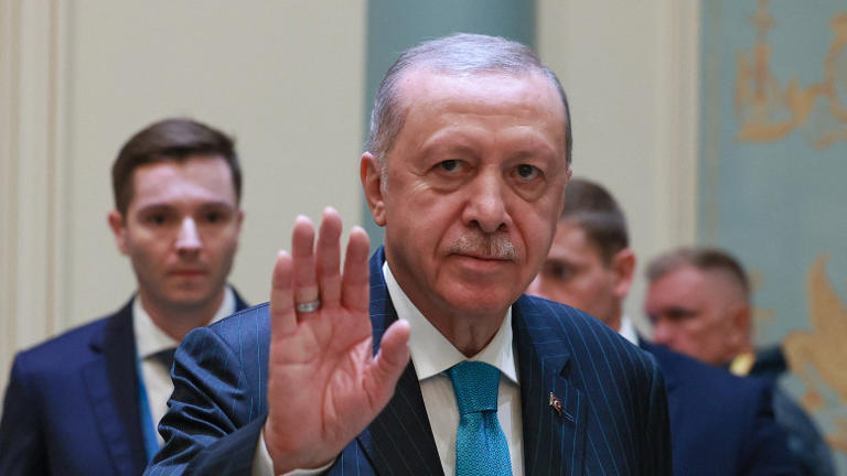 Turkey Weighs Gaza Military Deployment, Pursues Putin Talks